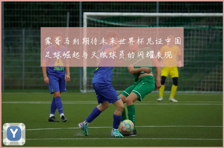 蒙哥马利期待未来世界杯见证中国足球崛起与天赋球员的闪耀表现